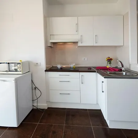 Apartamento Paraiso Del Sur Costa Adeje (Tenerife)